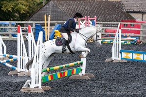 Class 4 - Fences 2'3 to 2'6